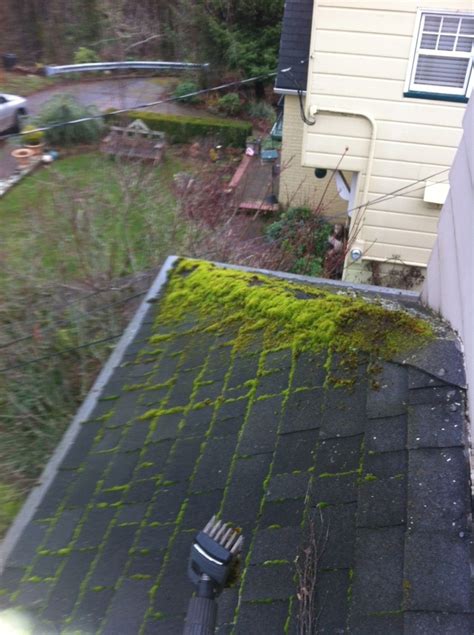 roof moss removal portland